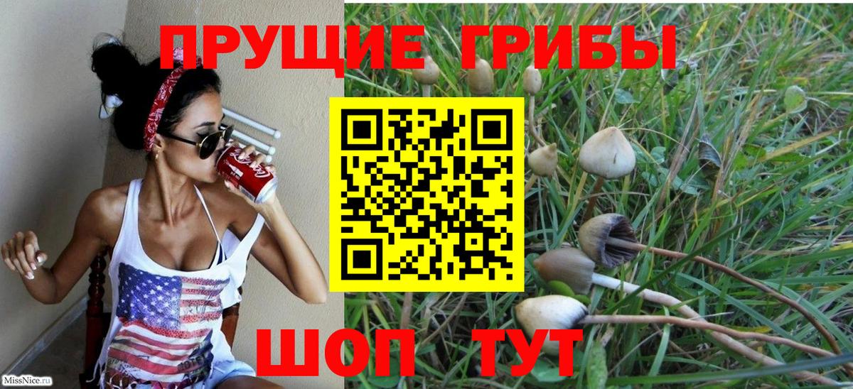 Галлюциногенные грибы мицелий Костомукша